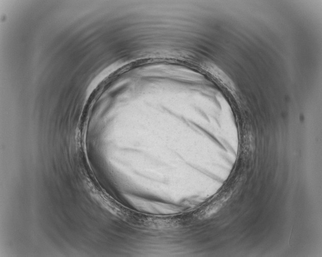 X0000086060928200704202057