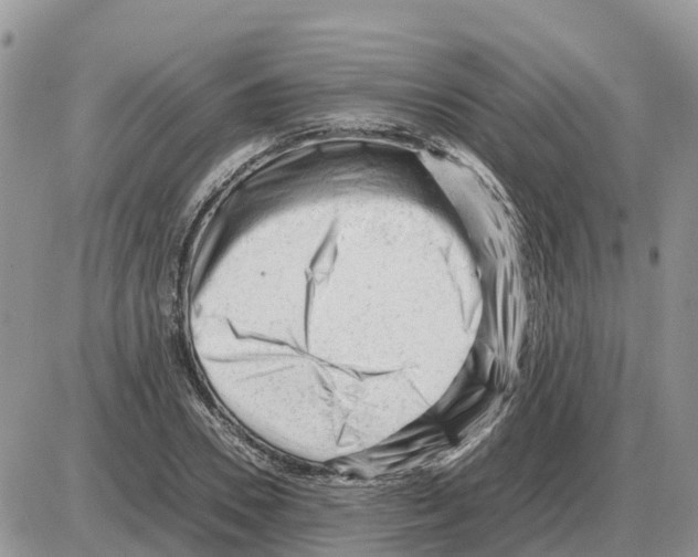 X0000086060930200704202057