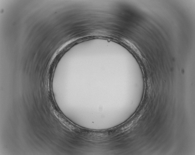 X0000086060931200704202057