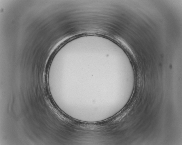 X0000086060932200704202057