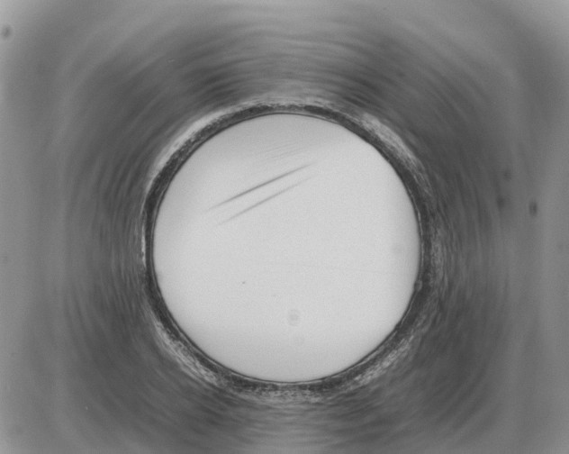 X0000086060934200704202057