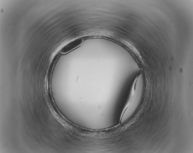 X0000086060936200704202057