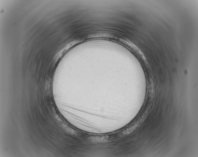 X0000086060937200704202057