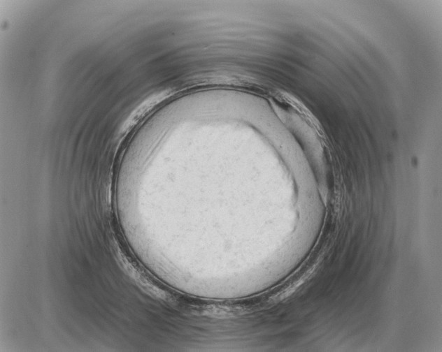 X0000086060938200704202057