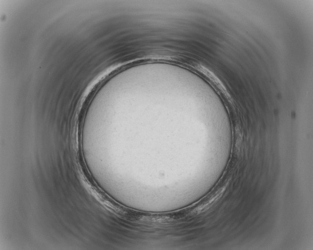 X0000086060939200704202057