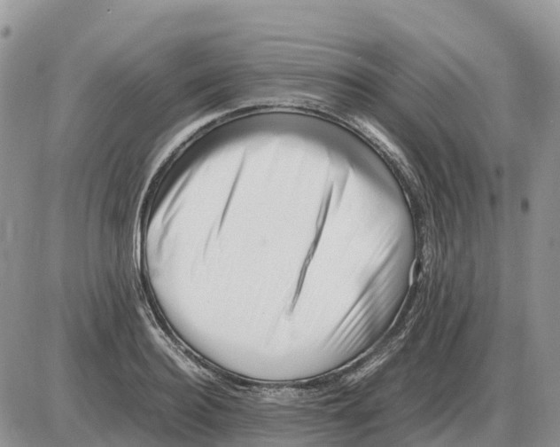 X0000086060940200704202057