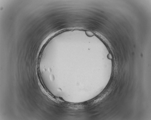 X0000086060941200704202057