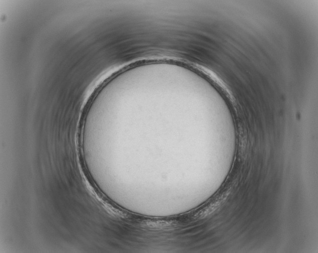 X0000086060943200704202057