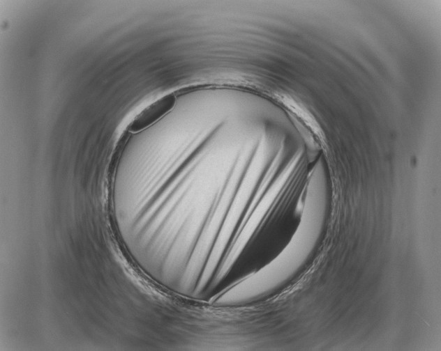 X0000086060944200704202057