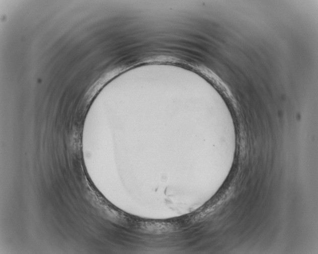 X0000086060945200704202057