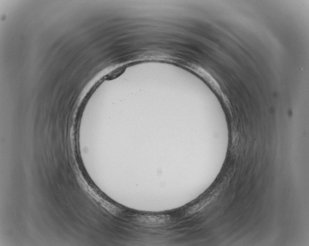 X0000086060947200704202057