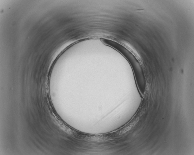 X0000086060948200704202057