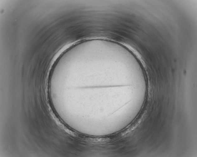 X0000086060949200704202057