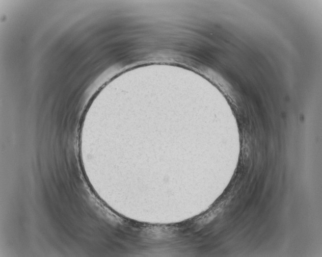 X0000086060950200704202057