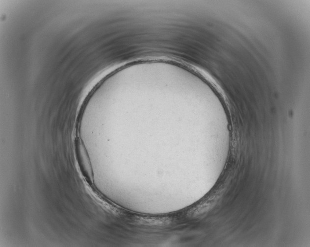 X0000086060951200704202057