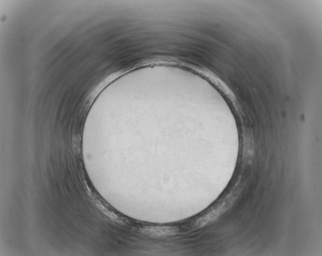 X0000086060953200704202057