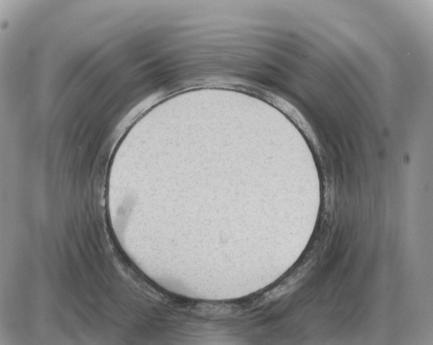 X0000086060954200704202057