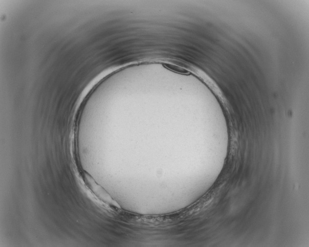 X0000086060955200704202057