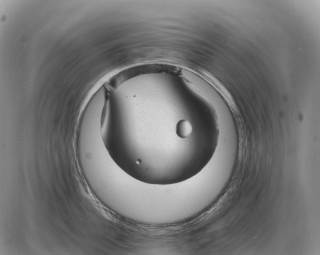 X0000086060956200704202057