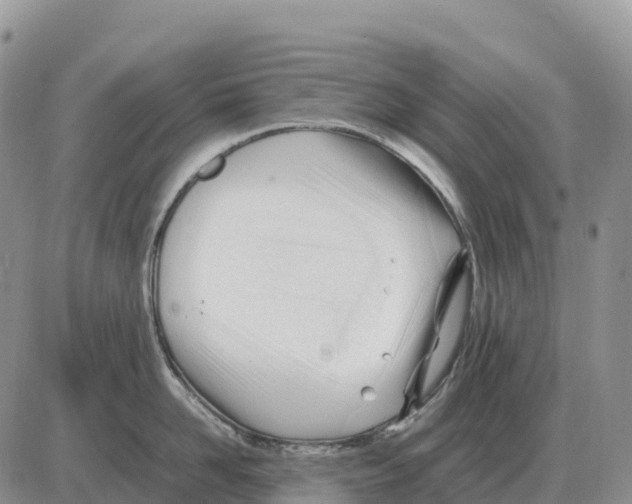 X0000086060958200704202057