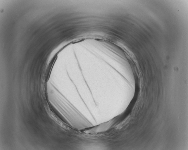 X0000086060960200704202058