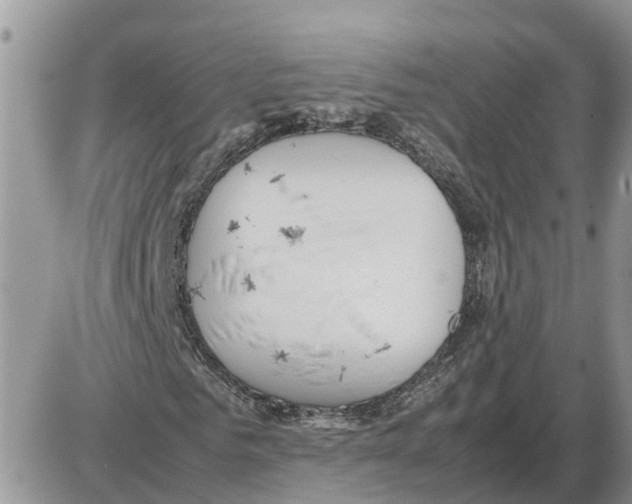 X0000086060961200704202057