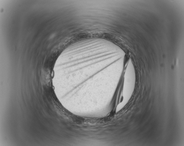 X0000086060963200704202057