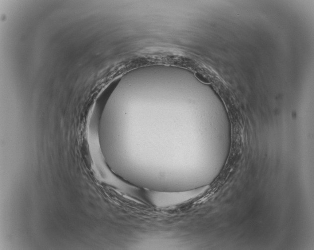 X0000086060965200704202057