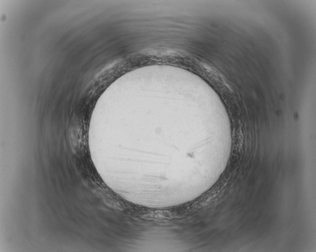 X0000086060966200704202057