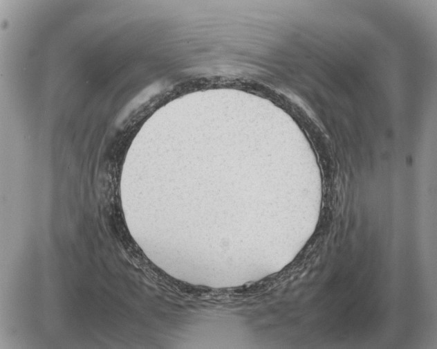 X0000086060967200704202057