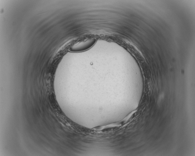 X0000086060968200704202057