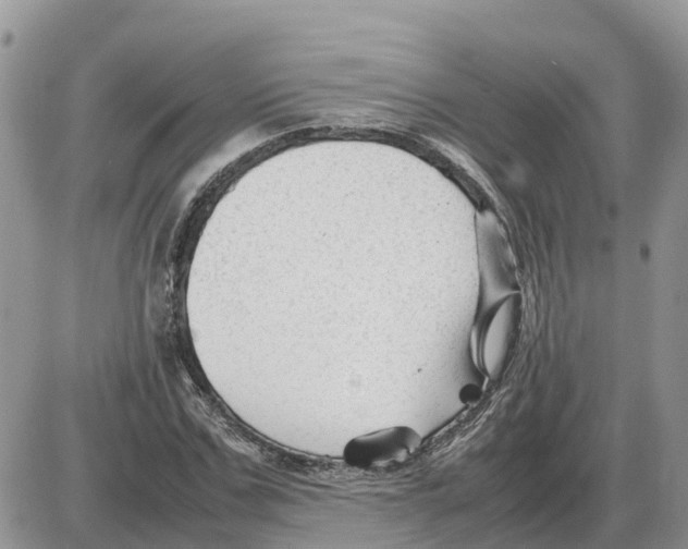 X0000086060971200704202057