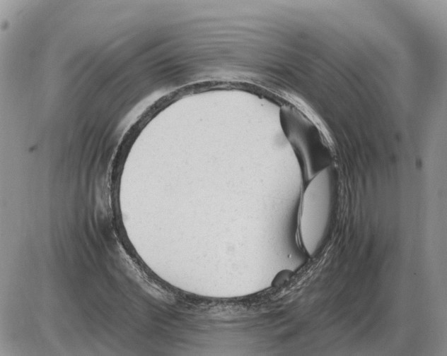 X0000086060972200704202057