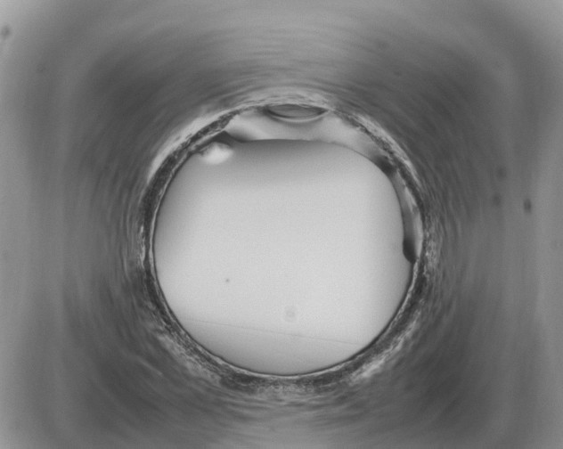 X0000086060973200704202057