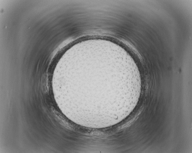 X0000086060974200704202057