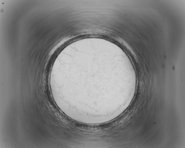 X0000086060975200704202057