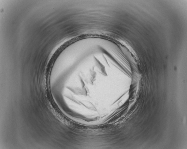 X0000086060976200704202057