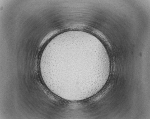 X0000086060978200704202056