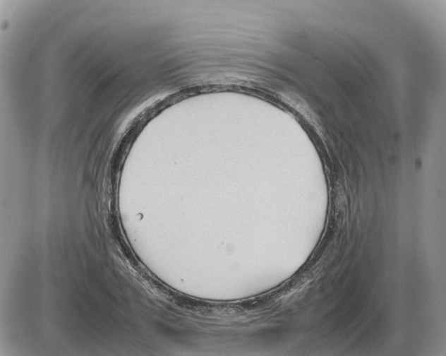 X0000086060979200704202056