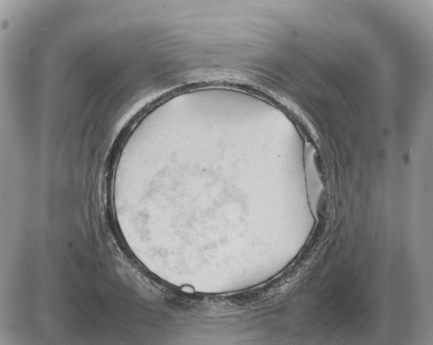 X0000086060983200704202056