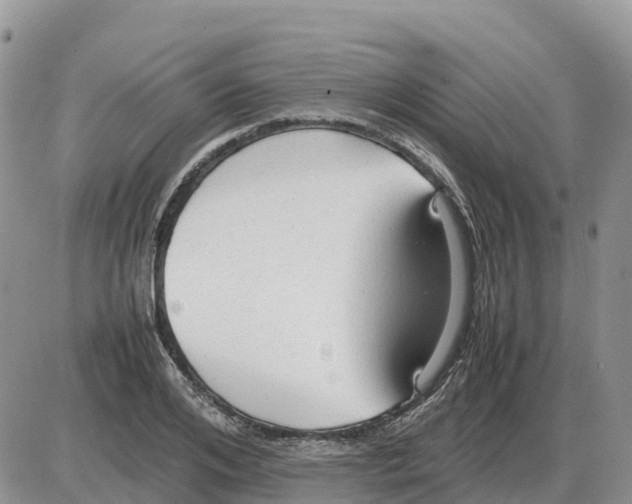 X0000086060984200704202056