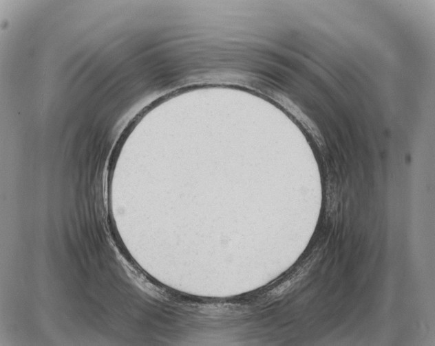 X0000086060988200704202056