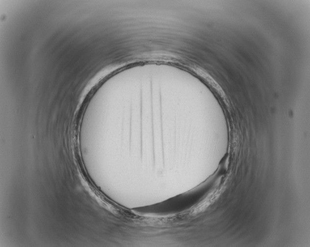 X0000086060989200704202056