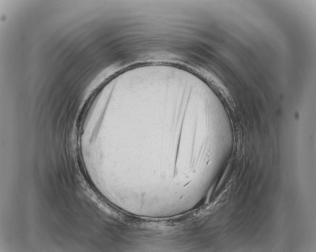 X0000086060990200704202056