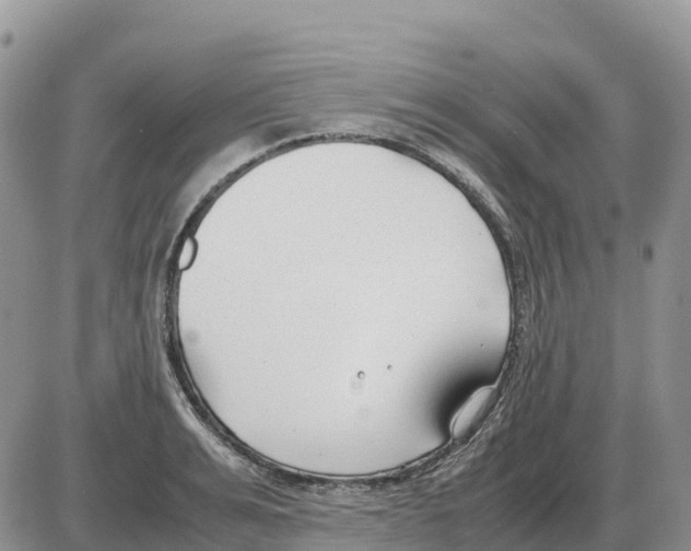 X0000086060991200704202056