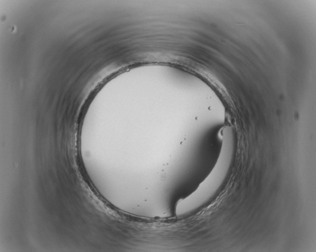 X0000086060992200704202056