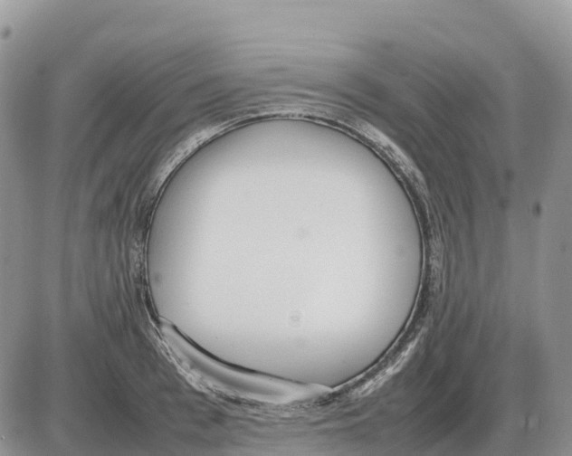 X0000086060993200704202056