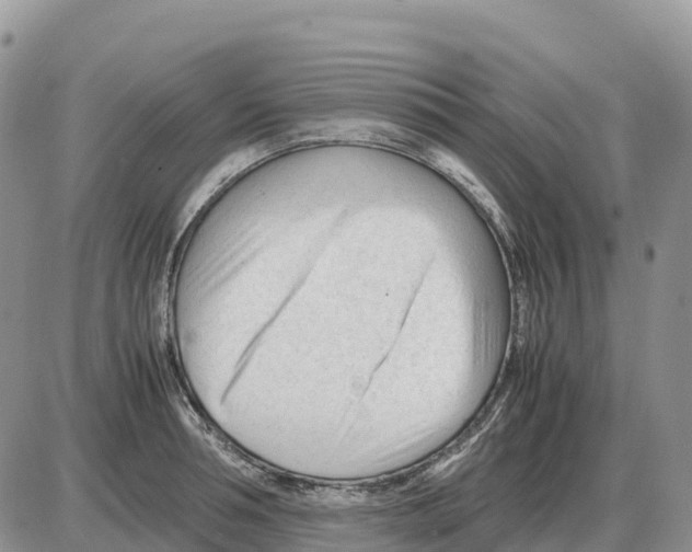 X0000086060994200704202056