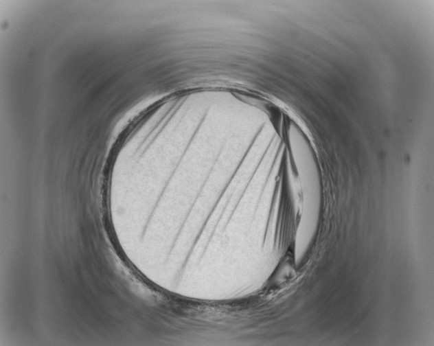 X0000086060995200704202056