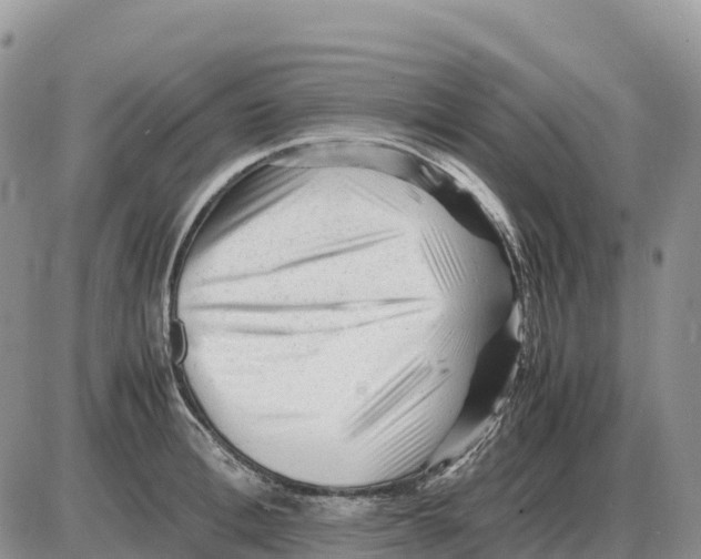 X0000086060996200704202056